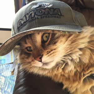 Team Page: Winston Benny of Westmoreland